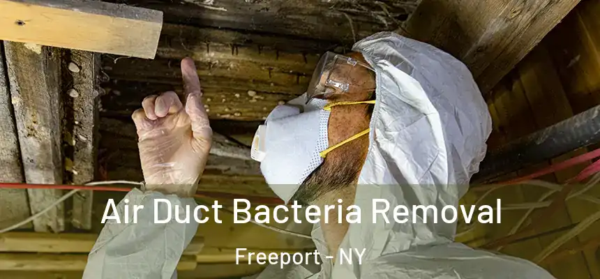  Air Duct Bacteria Removal Freeport - NY