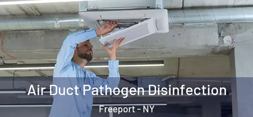  Air Duct Pathogen Disinfection Freeport - NY