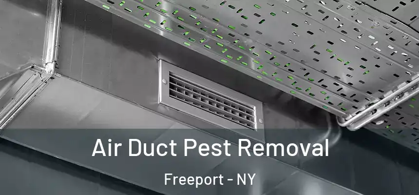 Air Duct Pest Removal Freeport - NY