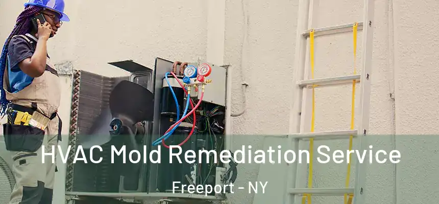  HVAC Mold Remediation Service Freeport - NY