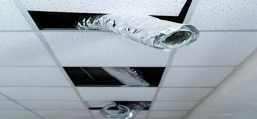 Affordable HVAC Sanitizing After Pest Removal in Freeport