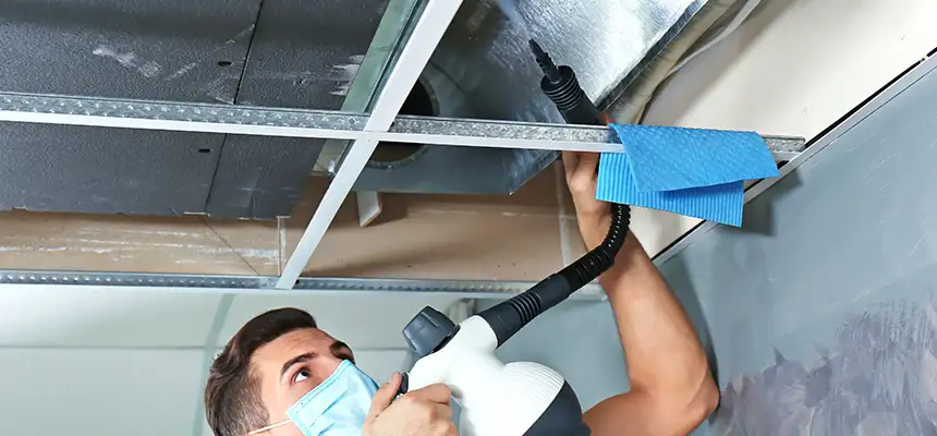 Our Air Duct Rodent Removal Services in Freeport, NY