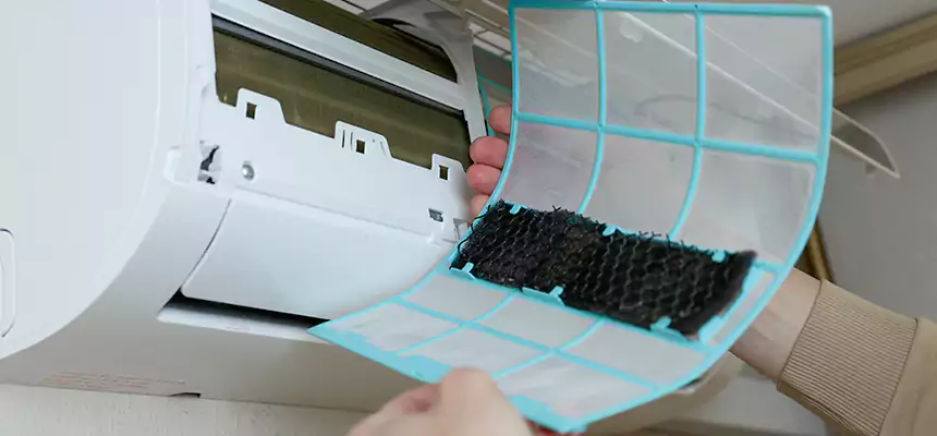 Gentle Ductwork Odor-Control Pet Dander Duct Cleaning in Freeport, NY