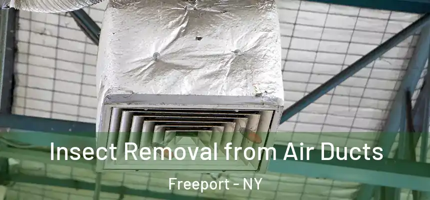  Insect Removal from Air Ducts Freeport - NY