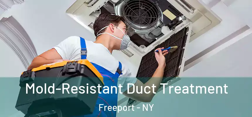Mold-Resistant Duct Treatment Freeport - NY