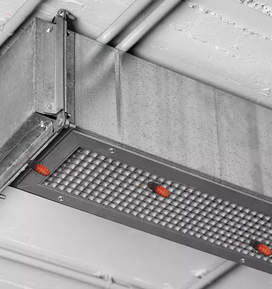About Air Duct Cockroach Removal in Freeport, NY