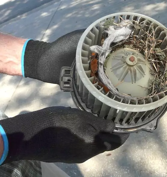 About Air Duct Mice Removal in Freeport, NY