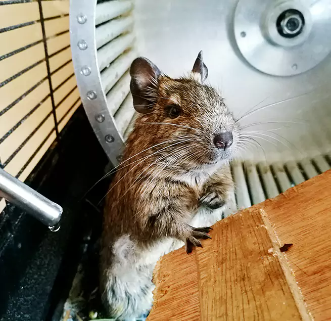 Why Homeowners & Businesses Trust Us Freeport, NY