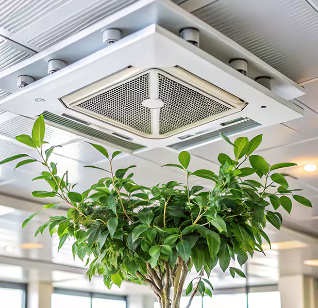 Why Homeowners & Businesses Trust Us in Freeport, NY?